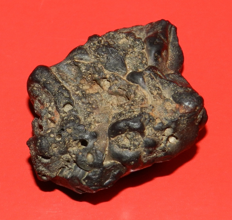 DSCN0426.JPG